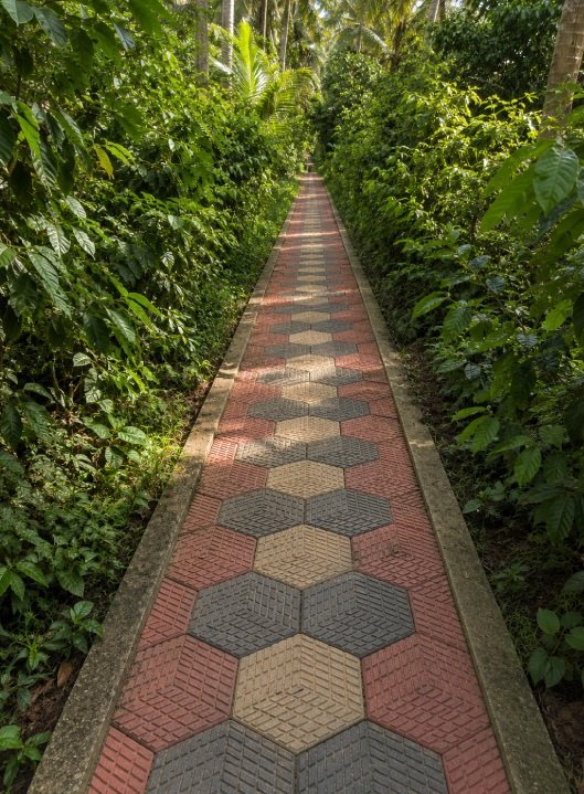 Evening Garden Walks